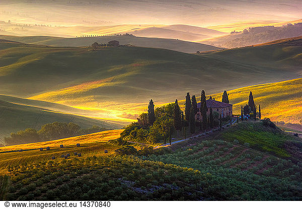 A beautiful farmhouse surrounded by cypress trees and the golden hills of Val d´Orcia  Tuscany  Italy