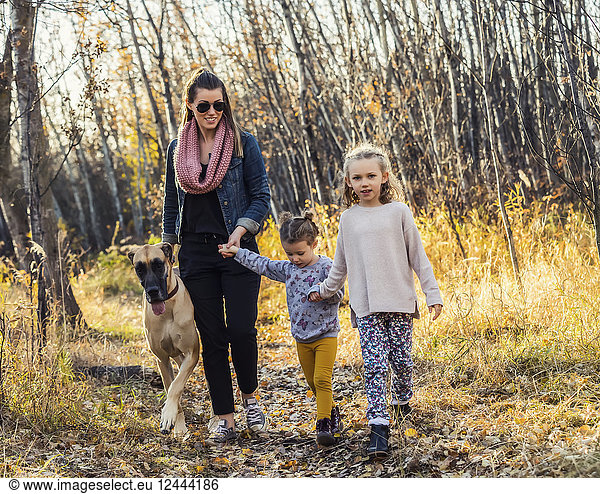 A beautiful mom and her two little daughers walking their Great Dane through the woods in a city park on a warm fall evening; Edmonton Alberta Canada