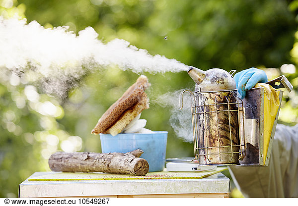 A beekeeper holding a metal smoker  puffing smoke across the top of a hive.