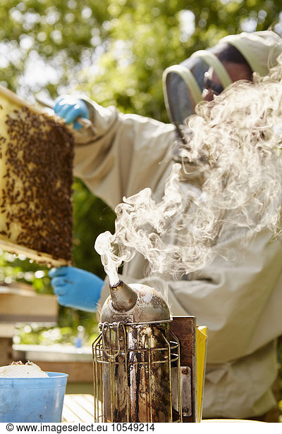 A beekeeper in a beekeeping suit with a smoker  opening and checking his hives.