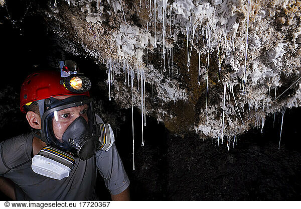 A biologist inspects snottites  a biofilm of single-celled extremophilic bacteria which hang down from the walls and ceilings of Cueva de Villa Luz.