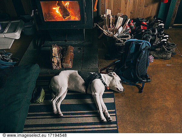 A black and white dog sleeps in front of wood fire stove in ski hut