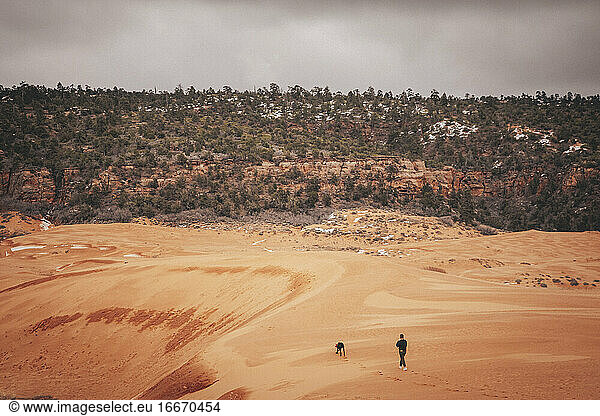 A black dog is walking with a girl through dunes