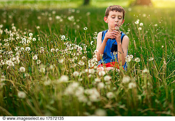 a boy blowing dandelions in the front yard