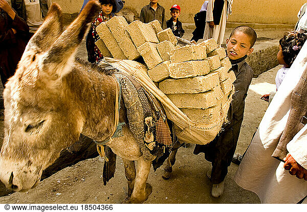 A boy guides a donkey laden with bricks down a narrow Kabul street.