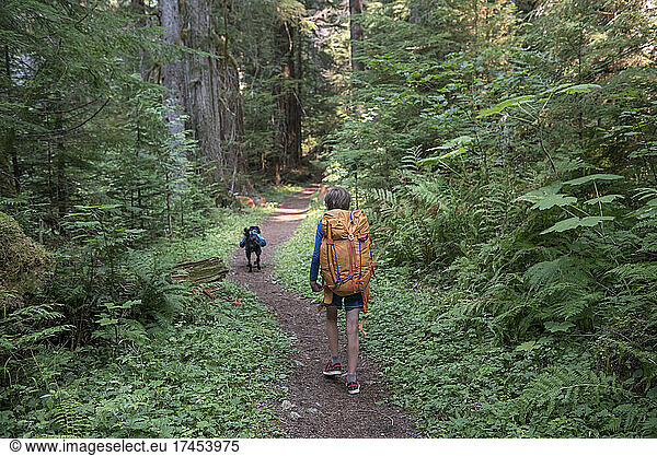 A boy hiking through the forest in Glacier Peak Wilderness