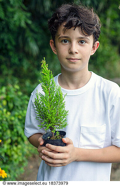 A boy holding a small tree sapling in a pot  standing in a garden.