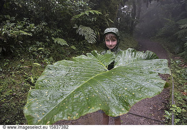 A boy holds a huge leaf in the Monteverde Clout forest Costa Rica