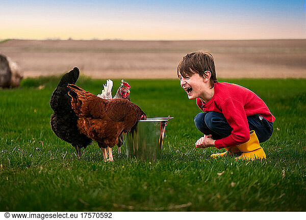 a boy laughing at chickens eating scratch from a bucket