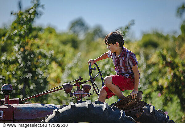 A boy sits on an old tractor in an apple orchard in golden light