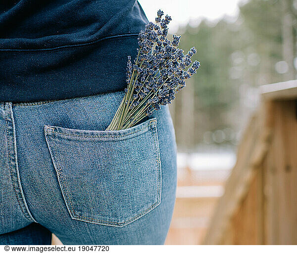 a bunch of lavendar in a woman's back pocket of her levi's jeans