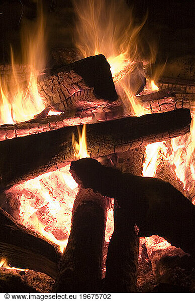 A campfire  British Columbia  Canada. (close-up)