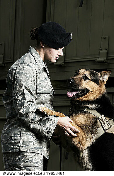 A Caucasian  female Air Force Security Forces Airman in uniform gives her military working dog a command to jump up.