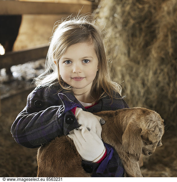 A child in the animal shed holding and stroking a baby goat.
