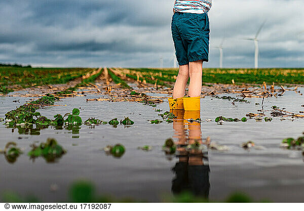 a child standing in flooded waters on a soybean field near a wind farm