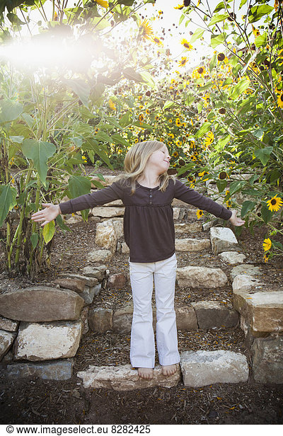 A Child Standing On A Garden Path  With A Background Of Sunflowers.