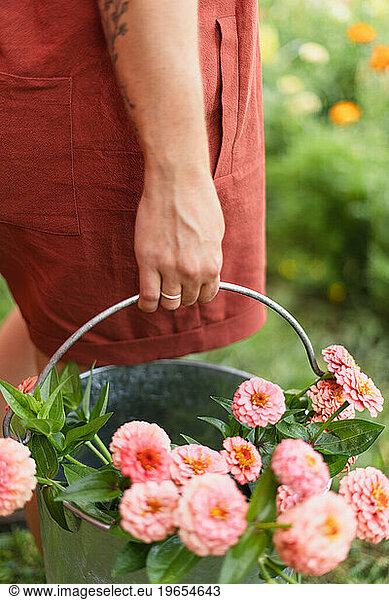 A close up of a bucket of pink zinnias held by a young cut flowe