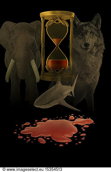 A composite image of an hour glass of blood  surrounded by animals