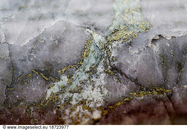A core sample with gold  Pebble mine site  Illiamna  Alaska