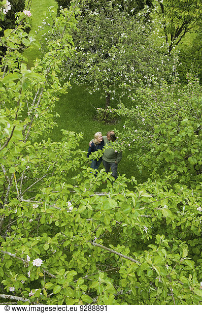 A couple viewed from a distance  strolling together in an orchard.