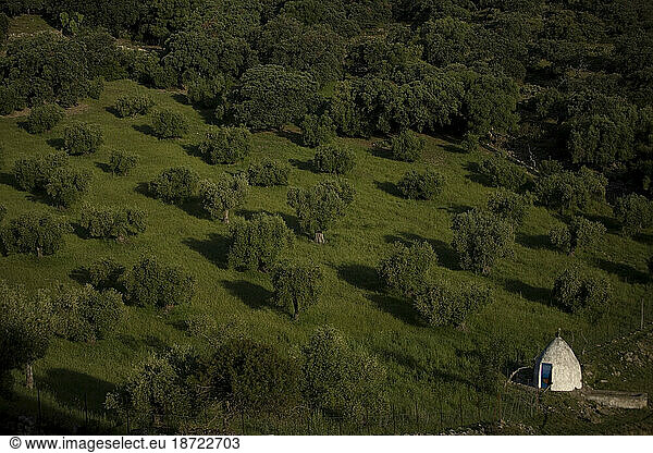 A covered well sits in an olive orchard in Prado del Rey village  Cadiz Province  Andalusia  Spain.
