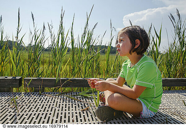 A cute little girl sits on boardwalk in wetlands by tall grass