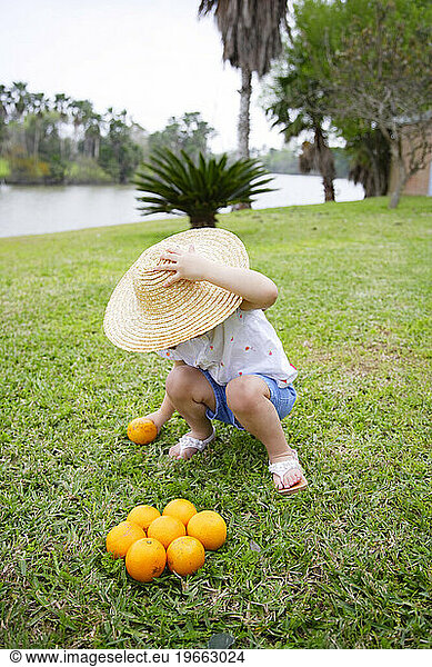 A cute little hispanic girl holding a hat on her head  picks up several oranges.