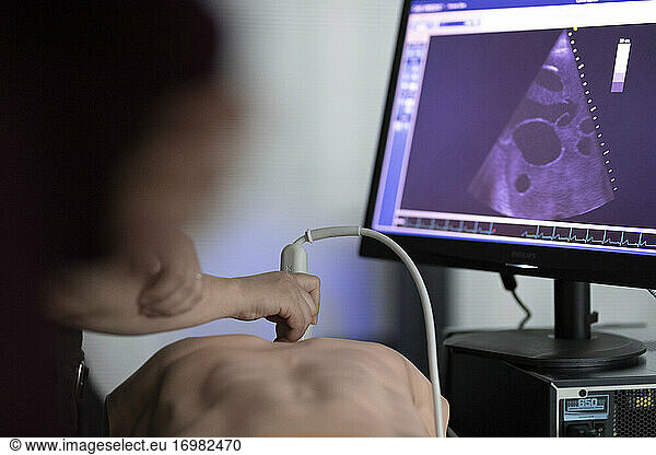 a doctor performs ultrasound on a teaching dummy