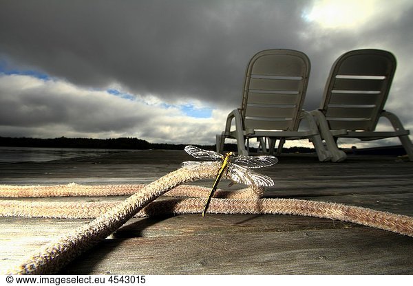 A dramatic scene where a dragonfly is perched on a rope which is on a wharf that has 2 lounge chairs