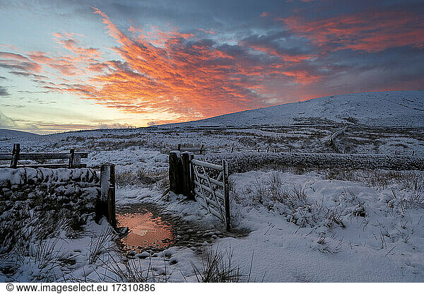A dramatic winter scene at Wildboarclough  Peak District National Park  Cheshire  England  United Kingdom  Europe