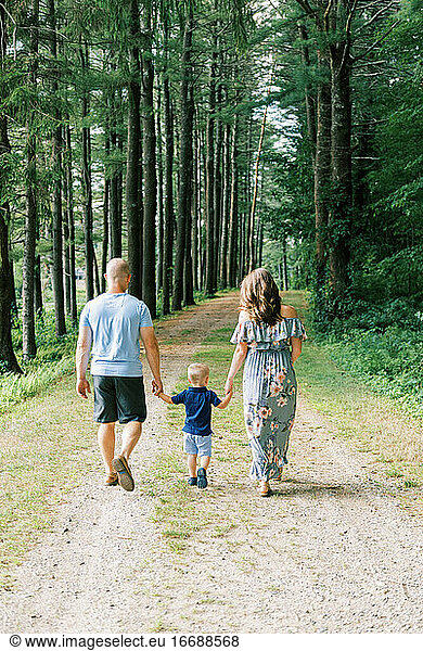 A family on a walk in the woods together