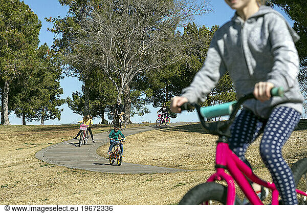 A family riding bicycles on path in park