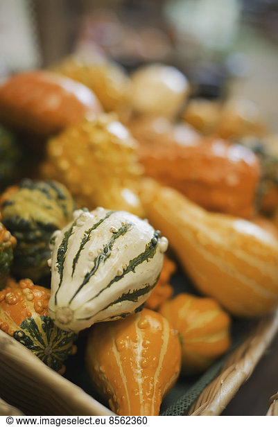 A farm stand  with a display of goudes and squash of different shapes and sizes.