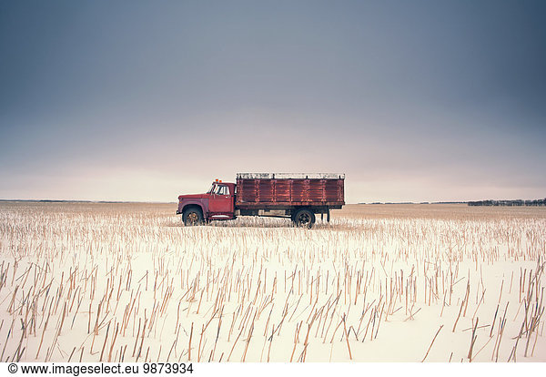 A farm truck in a stubble field surrounded by open space.