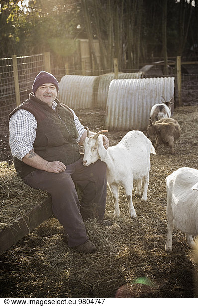 A farmer in a waistcoat and working clothes seated on a haybale  patting a white goat.