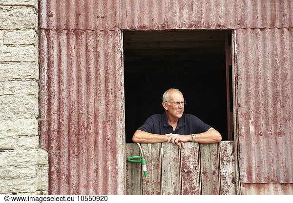 A farmer leaning on a half door looking out of a farm building.
