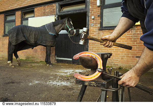 A farrier using tongs and hammer to hold and shape a red glowing heated metal horseshoe to be fitted.