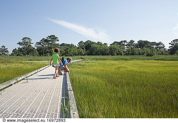 A father and child explore together along boardwalk in grassy marsh
