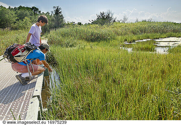 A father hikes in wetlands on boardwalk with son pointing out nature
