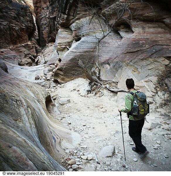 A female hiker exploring a canyon in Zion National Park  Utah.