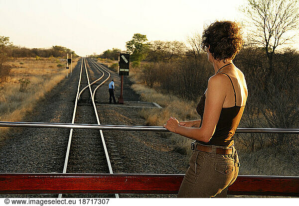 A female passenger enjoys the view from the Rovos Rail  Train  from Pretoria to Victoria Falls  Gauteng  South Africa