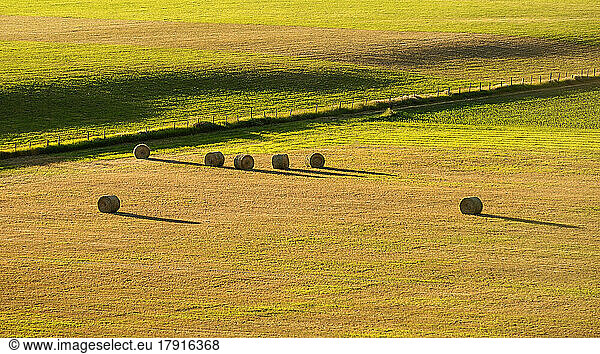 A field of round hay bales  short dry grass and a fence.