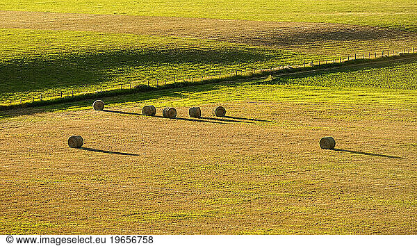 A field of round hay bales  short dry grass and a fence.