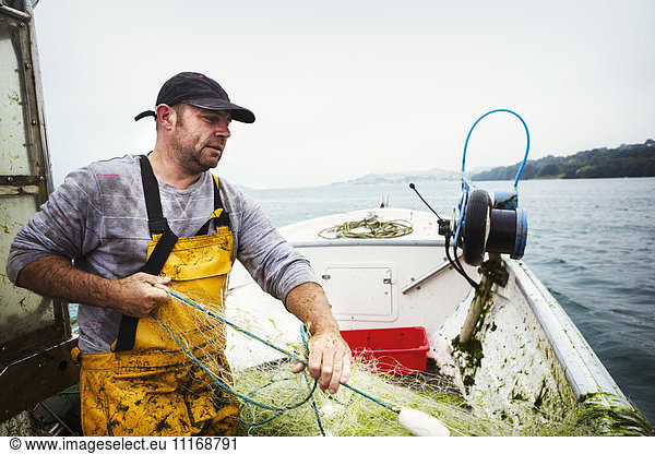 A fisherman on a boat hauling in the fishing net.