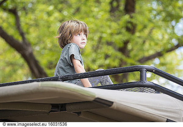 A five year old boy seated on the observation platform of a safari jeep under trees.