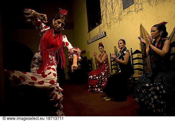 A Flamenco dancer  or bailaora  dances as others clap in Cordoba  Andalusia  Spain.