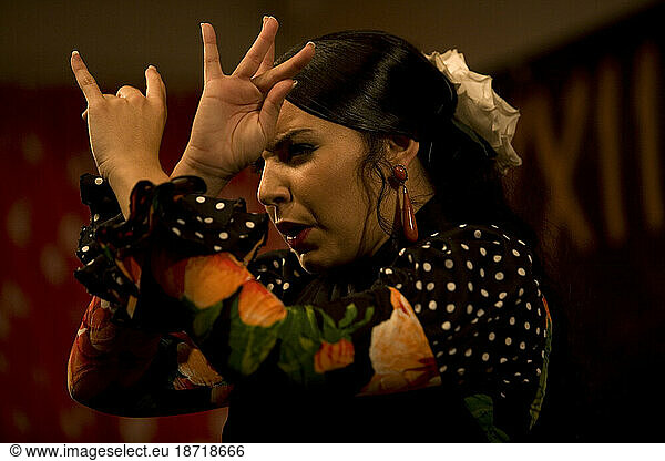 A Flamenco dancer  or bailaora  perfoms in Ubrique  Cadiz province  Andalusia  Spain.