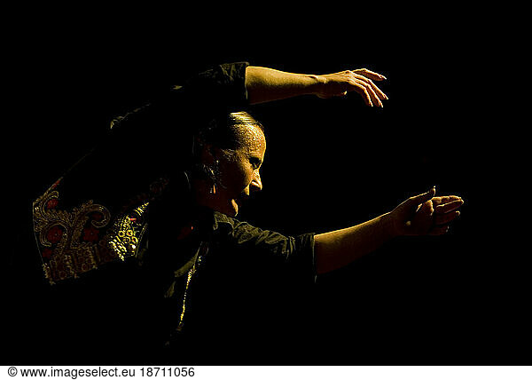 A Flamenco dancer  or bailaora  performs in Cadiz  Andalusia  Spain.