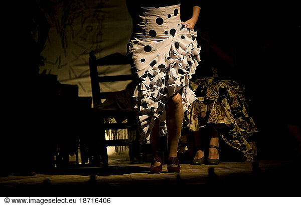 A Flamenco dancer  or bailaora  performs in Jerez de la Frontera  Cadiz province  Andalusia  Spain