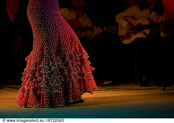 A Flamenco dancer  or bailaora  performs in Prado del Rey  Cadiz province  Andalusia  Spain.